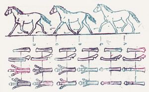 Lot 3226, Auction  101, Ernst, Max, Lewis Carrolls Wunderhorn