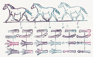 Lot 3227, Auction  101, Carroll, Lewis, Wunderhorn. Mit Original-Lithogr. von M. Ernst