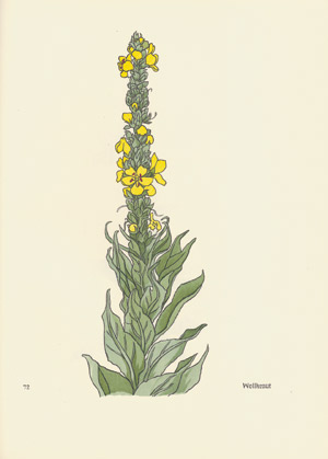 Lot 3419, Auction  101, Koch, Rudolf, Das Blumenbuch