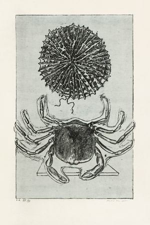 Lot 8093, Auction  101, Ernst, Max, Histoire Naturelle