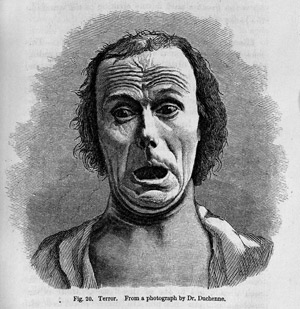 Lot 456, Auction  102, Darwin, Charles, The expression of the emotions in man and animals. 