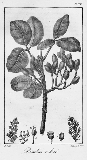 Lot 524, Auction  102, Poiret, Jean Louis Marie, Histoire philosophique. Paris, Ladrange et Verdière, 1825-29