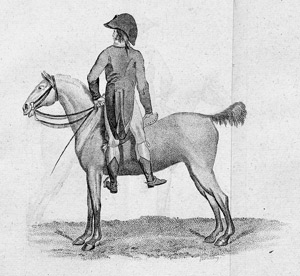 Lot 569, Auction  102, Meyer, Gottlob., Die Kunst ohne alle Anleitung regelmäßig reiten zu lernen 