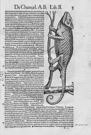 Lot 1110, Auction  102, Gesner, Conrad, Historiae animalium Liber II. Zürich, Froschauer, 1554