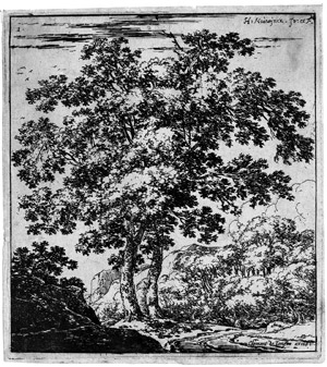 Lot 5209, Auction  102, Naywincx, Harman, Acht Waldlandschaften