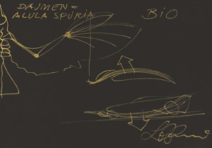 Lot 7066, Auction  102, Colani, Luigi, Daumen = Acula Spuria. Ohne Titel