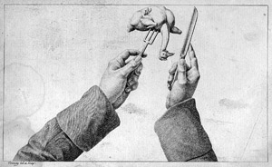 Lot 479, Auction  103, Grimod de la Reynière, A.-B.-L., Manuel des Amphitryons