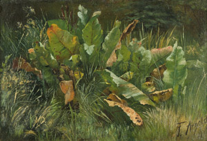 Lot 6114, Auction  103, Arnold, Friedrich Adolph, Wiesenstück mit Sauerampfer