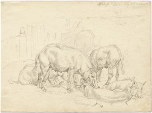 Lot 6436, Auction  103, Klein, Johann Adam, Die Schweine