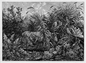 Lot 5348, Auction  104, Kolbe, Carl Wilhelm, Die Kuh im Sumpfe