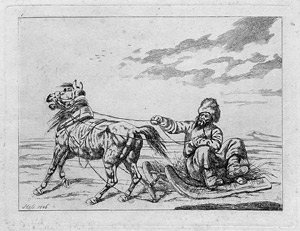 Lot 586, Auction  105, Hess, C. A. H., Zwölf Blatt Pferde.