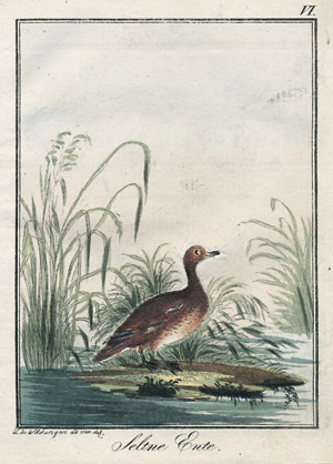 Lot 587, Auction  105, Neujahrs-Geschenk für Forst und Jagdliebhaber, auf das Jahr 1798