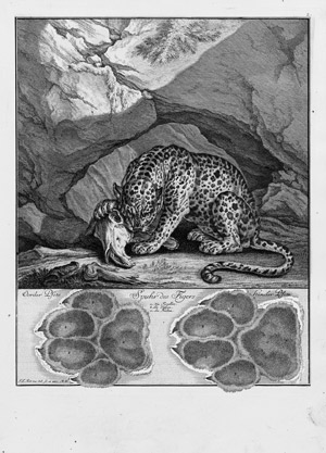 Lot 588, Auction  105, Ridinger, Johann Elias, Abbildung der jagtbaren Thiere