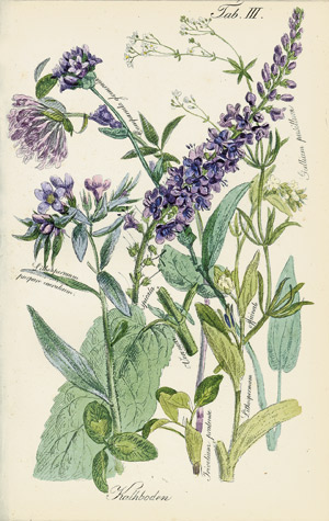 Lot 590, Auction  105, Seyff, Anton, Die Landwirthschaftschule in ihrem ganzen Umfange