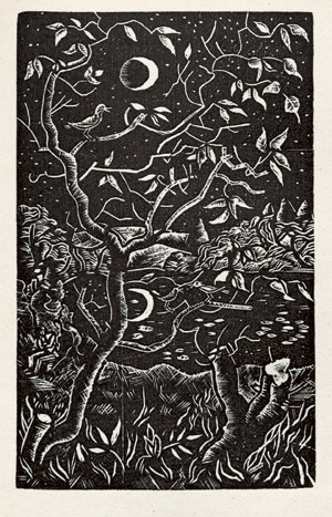 Lot 3516, Auction  105, Reuter, Fritz und Rössing, Karl - Illustr., Hanne Nüte. Avalun-Druck