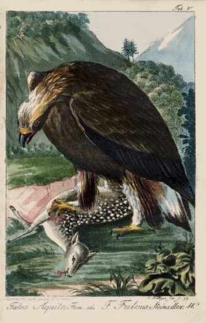 Lot 427, Auction  106, Taschenbuch für Forst und Jagdfreunde, für das Jahr 1800 + 1801