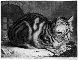 Lot 5318, Auction  106, Visscher, Cornelis, Die große Katze