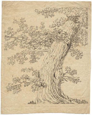 Lot 6612, Auction  107, Hackert, Jakob Philipp, Studie zu einer Kastanie