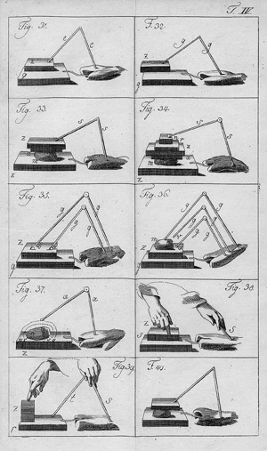 Lot 315, Auction  110, Humboldt, Alexander von, Versuche über die gereizte Muskel- und Nervenfaser