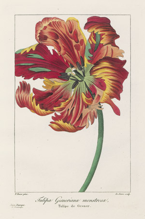 Lot 375, Auction  110, Bessa, Pancrace, Flore des jardiniers, amateurs et manufacturiers