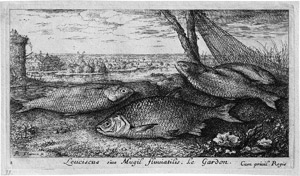 Lot 5106, Auction  110, Flamen, Albert, Poissons de Mer