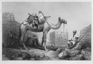 Lot 41, Auction  111, Bartlett, William Henry, Walks about the City and Environs of Jerusalem