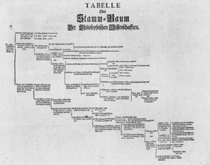 Los 2260 - Müller, Gottfried Polycarp - Academische Klugheit in Erkenntnis und Erlernung nützlicher Wissenschafften - 0 - thumb