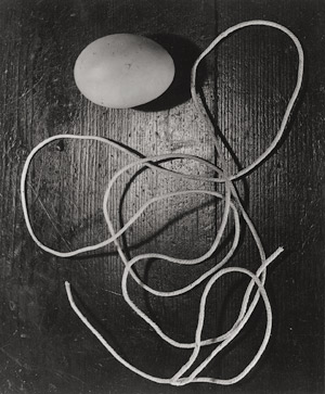 Los 4108 - Bauhaus II - Bauhaus II portfolio - 5 - thumb