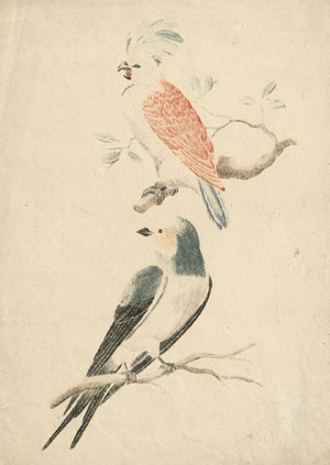 Lot 5238, Auction  112, Teyler, Johann, Kakadu und Rauchschwalbe 