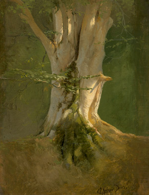 Lot 6161, Auction  112, Kröner, Johann Christian, Studie eines bemoosten Buchestamms