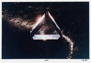 Lot 7232, Auction  112, Mack, Heinz und Höpker, Thomas, Expedition in künstliche Gärten