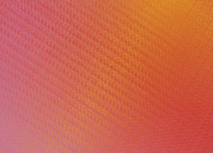 Los 7336 - Reichenberger, Peter - Rhythmen Orange/Rosa - 1 - thumb