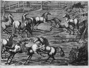 Lot 298, Auction  113, Winter (von Adlersflügel), Georg Simon, Neuer Tractat von der Reith-Kunst