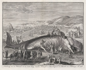 Lot 6399, Auction  113, Matham, Jacob - nach, Der gestrandete Pottwal bei Scheveningen von 1598