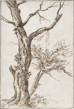 Lot 6664, Auction  113, Testa, Pietro - zugeschrieben, Baumstudie