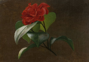 Lot 7274, Auction  113, Libert, Betzy Marie Petrea, Studie einer roten Kamelie