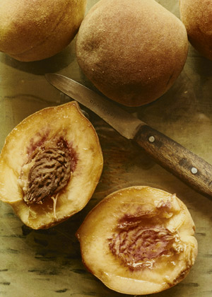 Lot 4270, Auction  114, Lendvai-Dircksen, Erna, Fruit still lifes