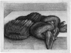 Lot 5100, Auction  114, Hollar, Wenzel, Gestreifter Muff und Pelzboa