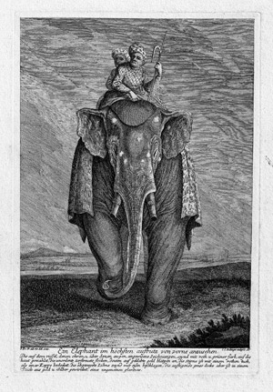 Lot 5499, Auction  114, Ridinger, Johann Elias, Elephanten in verschiedenen Stellungen