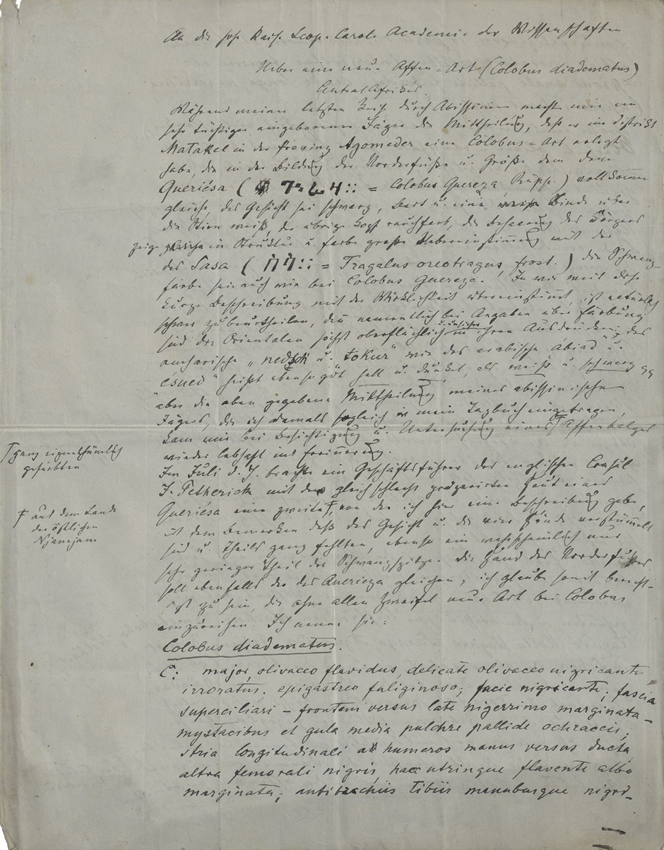 Lot 2641, Auction  115, Heuglin, Theodor von, Manuskript-Brief aus Afrika