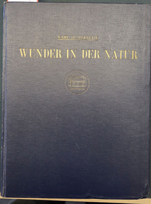 Lot 3580, Auction  116, Blossfeldt, Karl, Wunder in der Natur