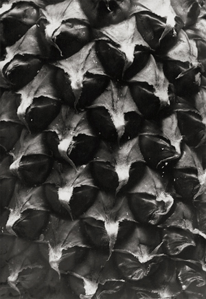 Lot 4309, Auction  116, Thiemann, Elsa, Detail studies (Pineapple; Tortoise shell)