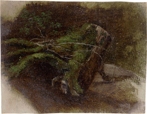 Lot 6334, Auction  116, Gauermann, Friedrich, Waldgrund mit bemoostem Baumstamm
