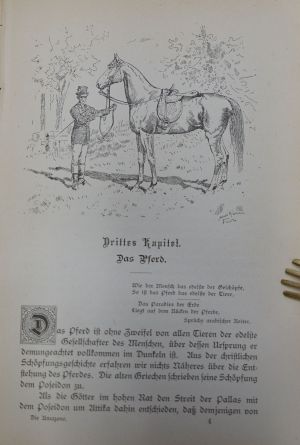 Lot 402, Auction  117, Heydebrand und der Lasa, L. von, Die Amazone