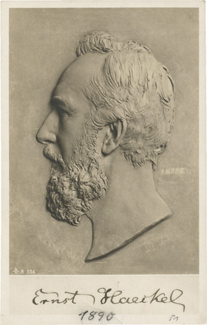 Lot 2571, Auction  117, Haeckel, Ernst, Brief 1912 + sign. Porträtfoto