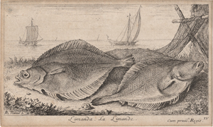 Lot 5502, Auction  117, Flamen, Albert, Poissons de Mer