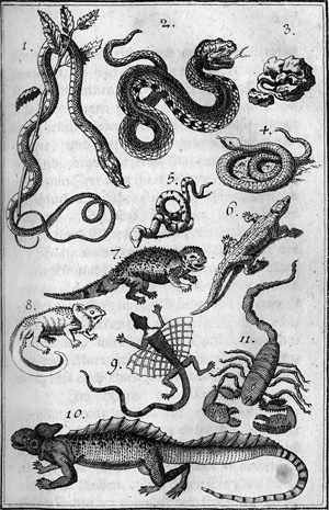 Lot 466, Auction  119, Voit, Johann Peter, Faßliche Beschreibung der gemeinnützlichsten Künste und Handwerke