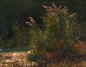Lot 6187, Auction  119, Dahl, Johann Siegwald, Schilfgras im Park von Glorup auf Fünen