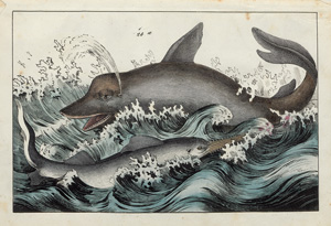 Lot 456, Auction  120, Schubert, Gotthilf Heinrich von, Naturgeschichte der Amphibien