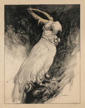 Lot 261, Auction  121, Hoff, Franz, Gelbhaubenkakadu
